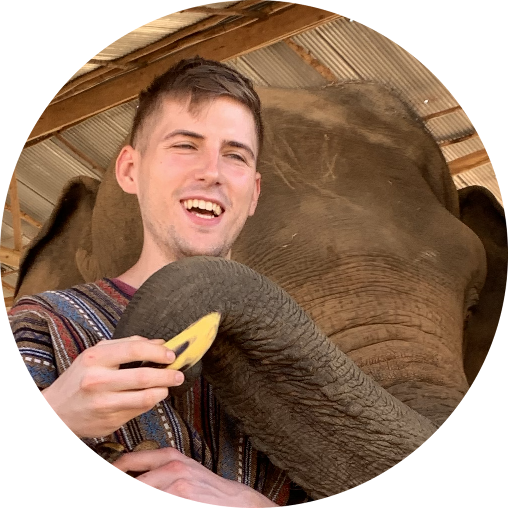 Karlo Delalic's profile